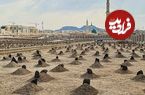 عکس؛ سفر به تاریخ؛ مرقد مطهر «امام حسن، امام سجاد، امام باقر و امام صادق علیهم‌السلام» در بقیع؛ 118 سال قبل