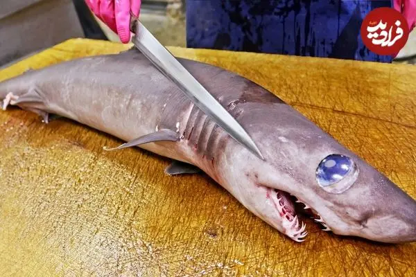 ببینید| غذای خیابانی در تایوان؛ برش ماهرانه کوسه  و سرخ کردن آن با کرفس در تایپه