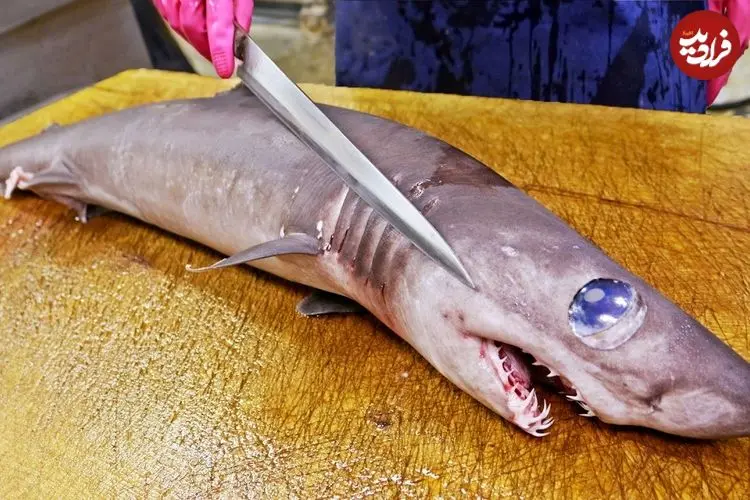 ببینید| غذای خیابانی در تایوان؛ برش ماهرانه کوسه  و سرخ کردن آن با کرفس در تایپه