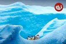 آخرین باری که قطب جنوب «یخ» نداشت چه زمانی بود؟