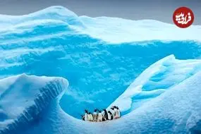 آخرین باری که قطب جنوب «یخ» نداشت چه زمانی بود؟