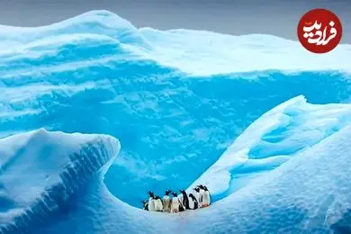 آخرین باری که قطب جنوب «یخ» نداشت چه زمانی بود؟