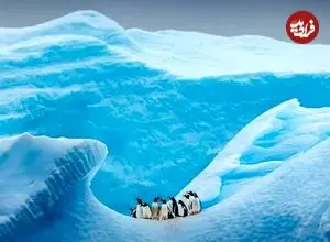 آخرین باری که قطب جنوب «یخ» نداشت چه زمانی بود؟