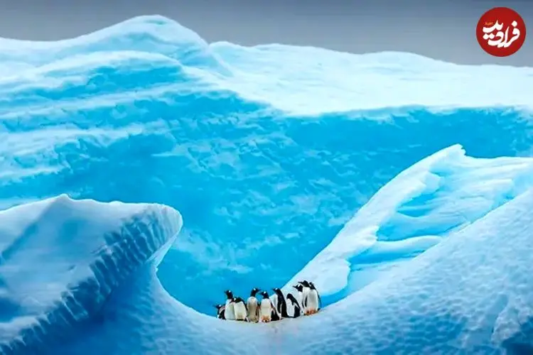 آخرین باری که قطب جنوب «یخ» نداشت چه زمانی بود؟