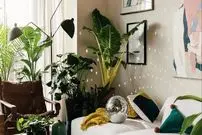 تاثیر «موسیقی» بر گیاهان و رشد آنها