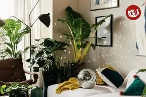 تاثیر «موسیقی» بر گیاهان و رشد آنها