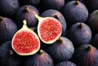 شایعه یا واقعیت؟ آیا در انجیر زنبور مرده وجود دارد؟
