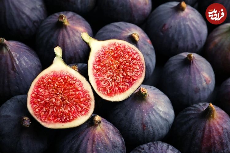 شایعه یا واقعیت؟ آیا در انجیر زنبور مرده وجود دارد؟