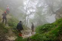 گردشگران مفقودی جنگل‌های نوشهر پیدا شدند