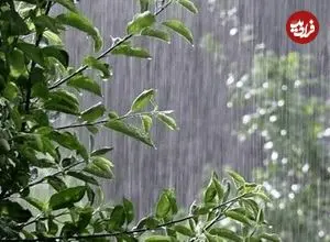 از دزدی ابرها تا رودهای اتمسفری / سرقت باران در ترازوی علم