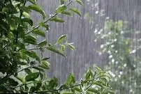 از دزدی ابرها تا رودهای اتمسفری / سرقت باران در ترازوی علم