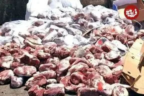 ببینید؛ کشف ۳ تن گوشت الاغ و قاطر با برچسب جعلی گوشت گوساله در تهران 