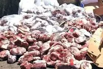 ببینید؛ کشف ۳ تن گوشت الاغ و قاطر با برچسب جعلی گوشت گوساله در تهران 