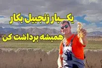 ببینید| روش ساده کاشت زنجبیل در خانه