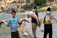 (ویدئو) ماهیگیری تماشایی مهدی و نیما، دو جوان روستایی ایرانی در رودخانه ای خطرناک