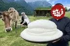 ببینید| غذای روستایی در آذربایجان؛ دوشیدن شیر تازه گاو و تهیه پنیر و خاچاپوری با آن