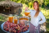 ببینید| غذای روستایی در مراکش؛ برداشت هلو و تهیه آبمیوه با آن و پخت مرغ در تنور گِلی