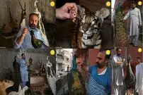 (ویدئو) تاکسیدرمی حیوانات خانگی برای دلداری به صاحبانشان