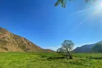 (تصاویر) سفر یک روزه اطراف تهران؛ دشت هویج کجای تهران است؟ 