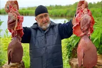 (ویدئو) غذای روستایی در ترکیه؛ پخت غذا با جگر بره به سبک آشپز مشهور ترک