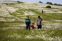 عکس| دشت بابونه قطعه‌ای از بهشت ایران زمین در دل نمین
