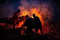 عکس؛ ایران از کشورهای همسایه درخواست کمک فوری کرد