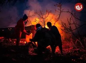 عکس؛ ایران از کشورهای همسایه درخواست کمک فوری کرد