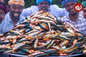 ببینید؛ غذای روستایی در هند؛ پخت خورشت کاری با ماهی ساردین