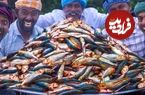 ببینید؛ غذای روستایی در هند؛ پخت خورشت کاری با ماهی ساردین