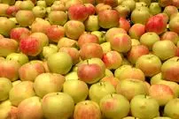 14 خاصیت شگفت‌انگیز «سیب» برای سلامتی