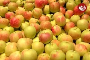 14 خاصیت شگفت‌انگیز «سیب» برای سلامتی