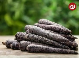 تصاویر؛ هویج سیاه؛ خاصترین هویج دنیا با رنگ سیاه که هم خوراکی است و هم از آن برای تولید رنگ طبیعی استفاده میشود