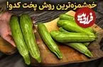 ببینید| طرز تهیه دو نوع غذای جدید و کم هزینه با کدو سبز 