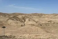 عکس؛ کشفی شگفت‌انگیز فسیل‌ها؛ دو گونه انسان باستانی در یک زمان و مکان