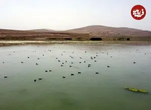 کدام تالاب‌های کشور سرریز شدند؟