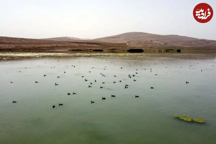 کدام تالاب‌های کشور سرریز شدند؟