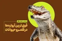 اینفوگرافی؛ کدام حیوانات آرواره‌های قوی‌تری دارند؟