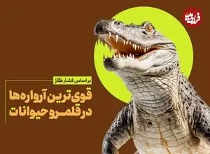 اینفوگرافی؛ کدام حیوانات آرواره‌های قوی‌تری دارند؟