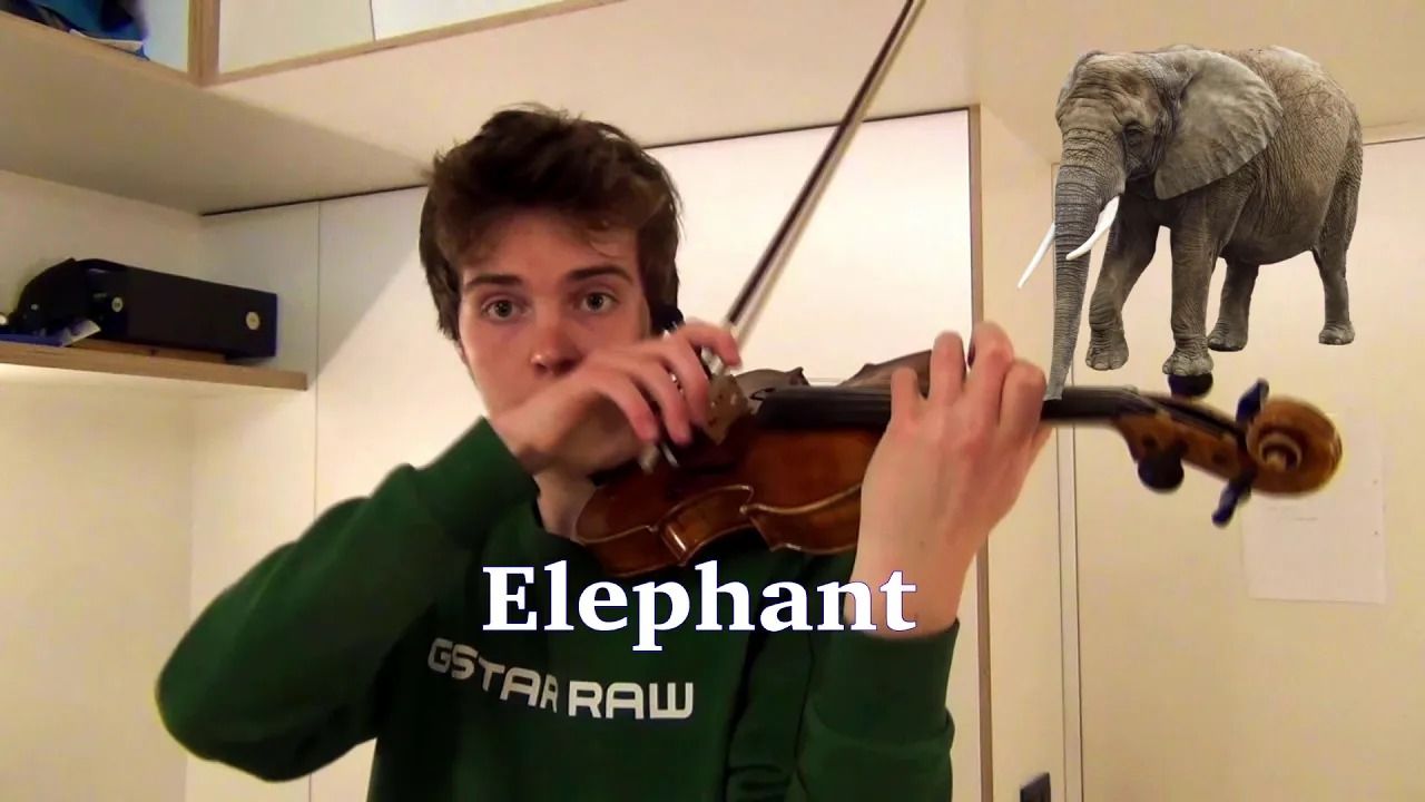 (ویدئو) مهارت شگفت انگیز جوان بلژیکی در اجرای صدای حیوانات با ویولن