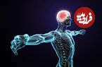 قیمت مواد تشکیل دهنده بدن انسان چقدر است؟؛ خیلی ارزان، خیلی گران