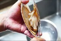 ببینید| غذای خیابانی در ژاپن؛ تهیه دو نوع غذا با صدف دو کفه ای در اوکیناوا