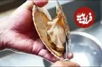 ببینید| غذای خیابانی در ژاپن؛ تهیه دو نوع غذا با صدف دو کفه ای در اوکیناوا