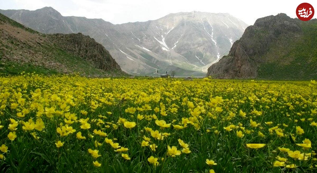 لواسان گردی از گردنه قوچک تا دشت لار