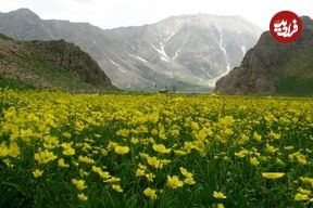 لواسان گردی از گردنه قوچک تا دشت لار