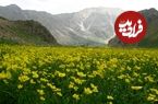 لواسان گردی از گردنه قوچک تا دشت لار