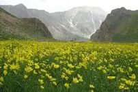 لواسان گردی از گردنه قوچک تا دشت لار