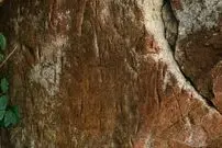 کشف کتیبه باستانی در نزدیکی قله کوه در تایلند