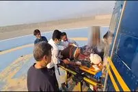 نجات معجزه‌آسای چوپان در حمله خرس سیاه