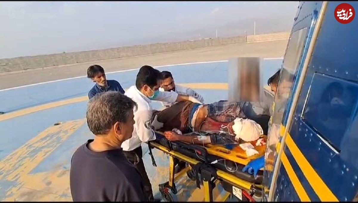 نجات معجزهآسای چوپان در حمله خرس سیاه