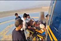نجات معجزه‌آسای چوپان در حمله خرس سیاه